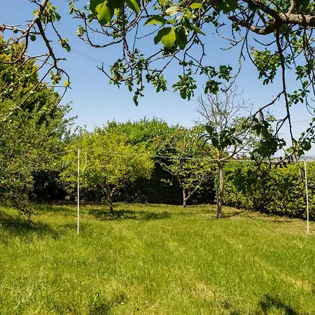 Delle Rose - Modern Design, Pool&airco Villa